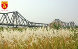Hà Nội mùa hoa cỏ lau
